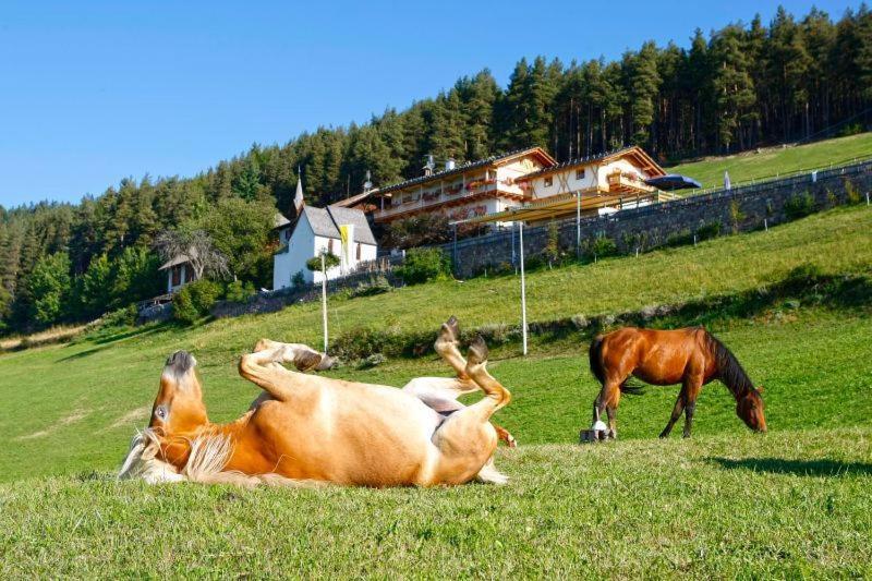 Hotel Bad Siess